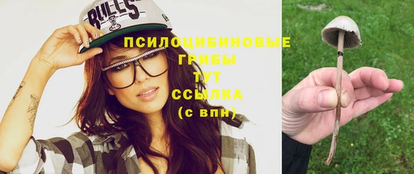 эйфоретик Балахна